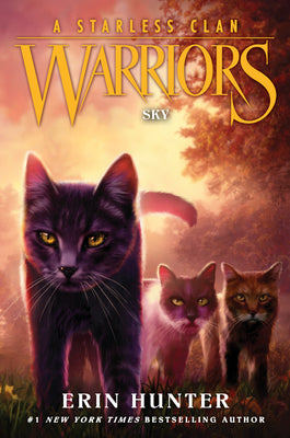 Warriors: A Starless Clan #2: Sky